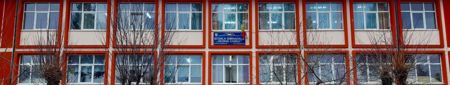 Școala Gimnazială „George Coșbuc” Sighetu Marmației